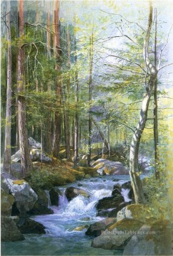  bois peintre - Torrent à Bois derrière Mill Dam Vahrn près de Brixen Tyrol paysage luminisme William Stanley Haseltine